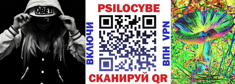 продажа наркотиков Валдай Псилоцибиновые грибы Psilocybe