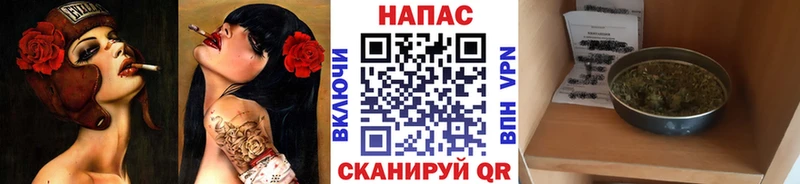 купить наркотики цена Валдай Конопля White Widow